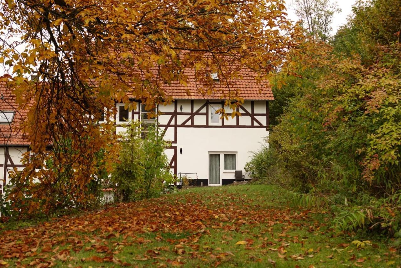 شقة Haus An Der Werbe فالديك المظهر الخارجي الصورة